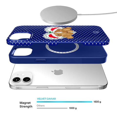 Winter Teddy iPhone Case