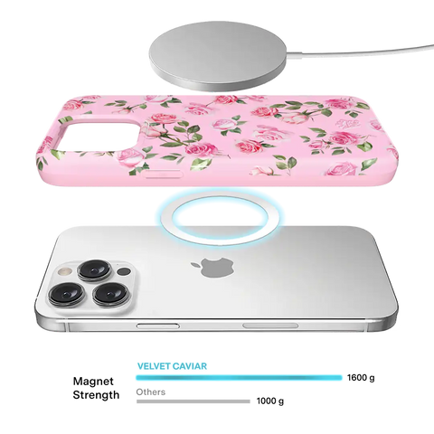 Baby Pink Roses iPhone Case