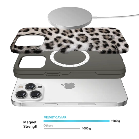 Arctic Leopard iPhone Case