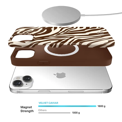 Coco Zebra iPhone Case