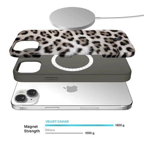 Arctic Leopard iPhone Case