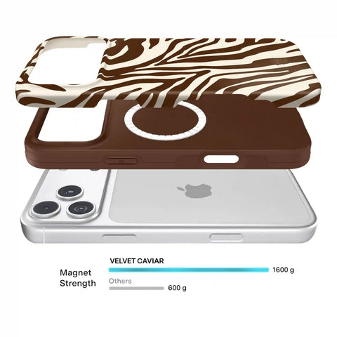 Coco Zebra iPhone Case