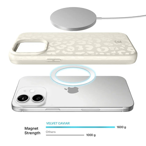 Stone Leopard iPhone Case