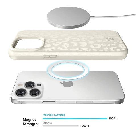 Stone Leopard iPhone Case