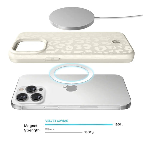 Stone Leopard iPhone Case