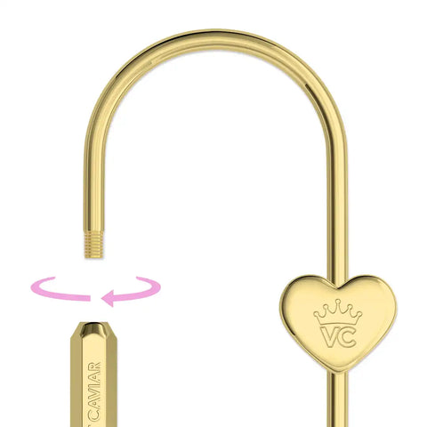 Gold Carabiner Bag Charm
