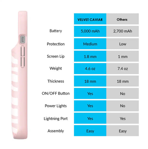 Pink Zebra iPhone Charging Case